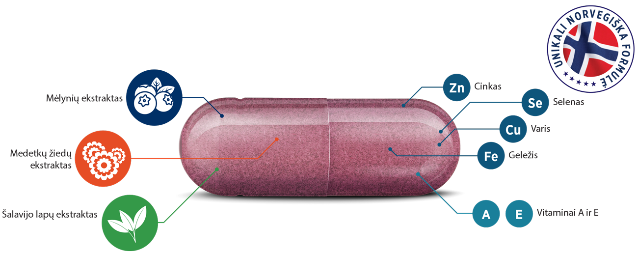 Natural Pharmaceuticals Vistan Rožinės spalvos maisto papildo kapsulės iliustracija su pažymėtais ingredientais: mėlynių ekstraktu, medetkų žiedų ekstraktu, šalavijų lapų ekstraktu, cinku (Zn), selenu (Se), variu (Cu), geležimi (Fe) ir vitaminais A ir E.