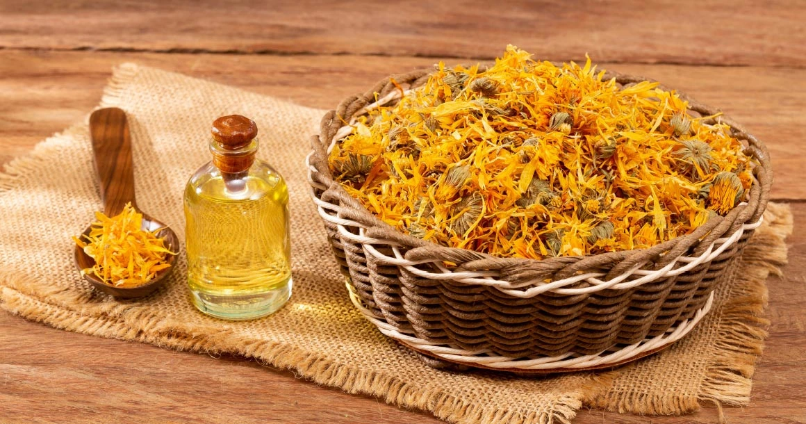 Natural Pharmaceuticals Vistan Džiovintų medetkų žiedų krepšelis, aliejus stiklinėje butelyje ir medinis šaukštas ant lininio audinio.